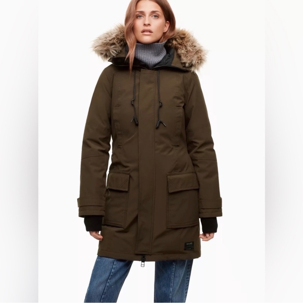Aritzia TNA Banroft Parka Coat